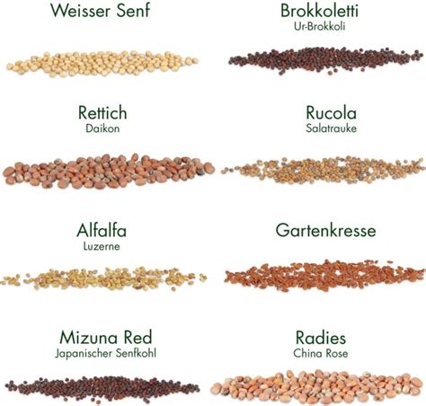 Ukážka rôznych druhov BIO semienok