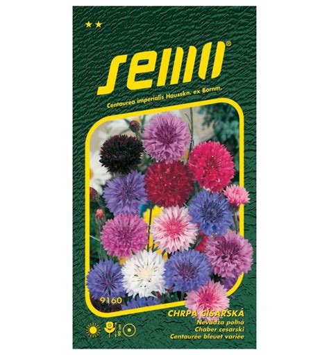 Ilustrácia rozsievača, kde semená rastú medzi tŕním