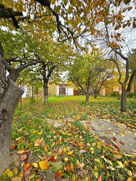 Jesenná krajina so sfarbenými listami a ovocnými stromami