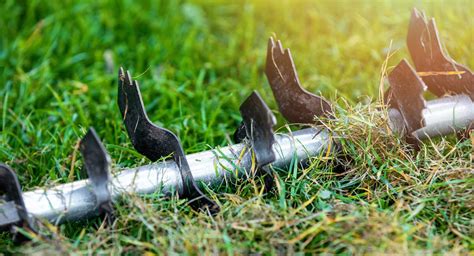 Schéma jesennej starostlivosti o trávnik: kosenie, vertikutácia, pieskovanie a hnojenie