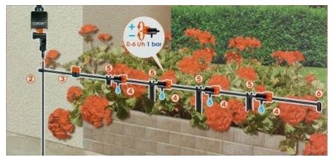 Diagram ukazujúci umiestnenie filtra a regulátora tlaku v systéme kvapkovej závlahy