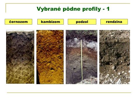 Schéma: Rastliny indikujúce rôzne typy pôd