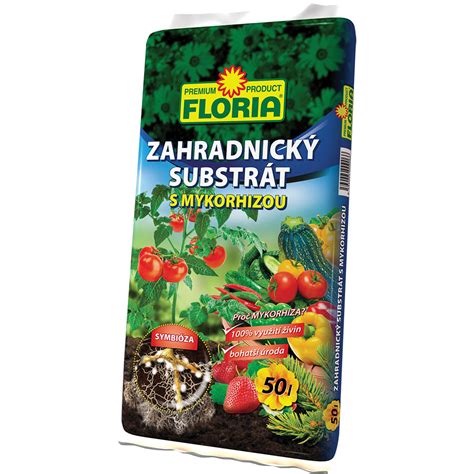 Dôležitosť správnej zálievky a hnojenia