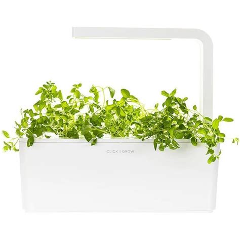 Nádoba so zasiatymi semienkami bazalky