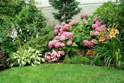 Záhradný záhon s kvitnúcimi hortenziami rôznych farieb