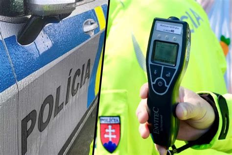 Ilustračné foto zdravého vinohradu