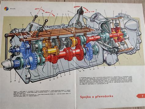 Schéma mechanickej vertikulácie a správneho vyrývania buriny s kolovými koreňmi.