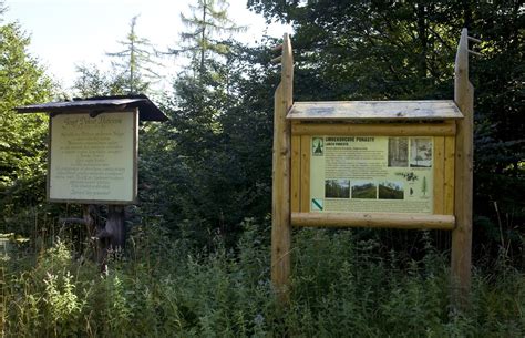 fotografia pamätníka J. D. Matejovie v Dolnom Jelenci