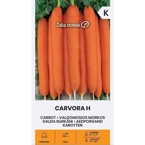 Infografika: Porovnanie odrôd mrkvy (Carvora, Carrazzo, Purple Haze)