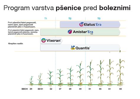 Tabuľka porovnávajúca úrody pšenice pred a po zavedení priemyselných hnojív na veľkostatku