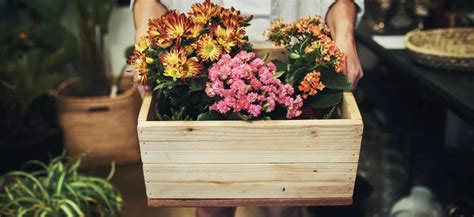 Infografika znázorňujúca spon a hĺbku výsadby tekvíc