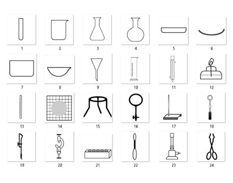 laboratórne vybavenie s vzorkami stromovej kôry
