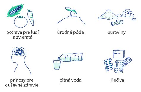 Infografika zobrazujúca hlavné účinné látky bazalky posvätnej a ich prínosy pre zdravie.