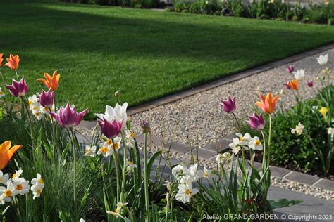 Fotografia rozkvitnutého jarného záhona s kombináciou tulipánov a narcisov.