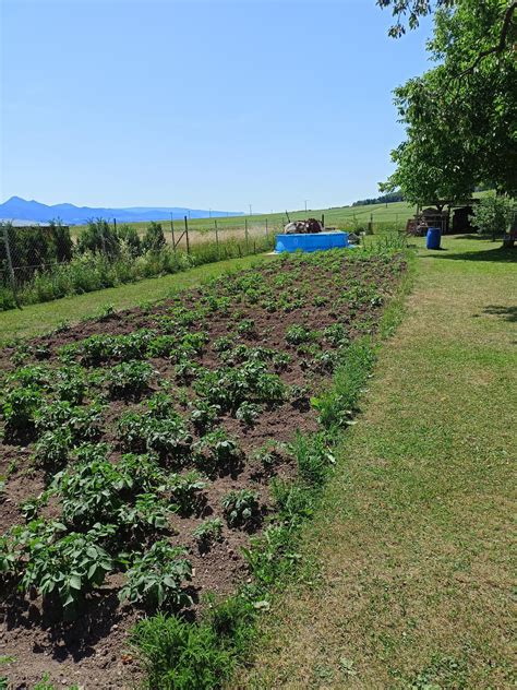 Profesionálne navrhnutá a udržiavaná záhrada