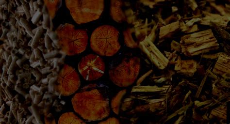 Proces štiepkovania dreva