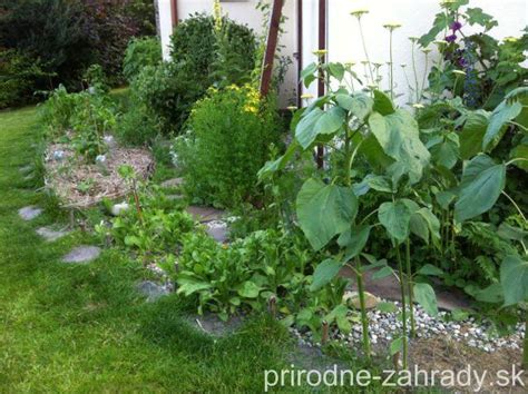 Záhon pokrytý lávovým mulčom