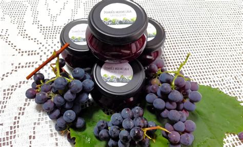 Ilustrácia vonného oleja s ovocnými motívmi čierneho hrozna a kiwi.