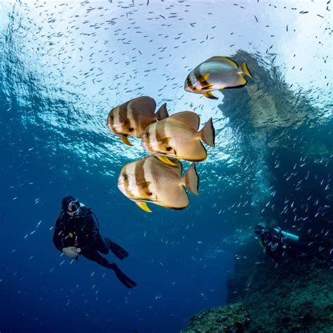 Schéma vzdušného potápania alebo vrstvenia