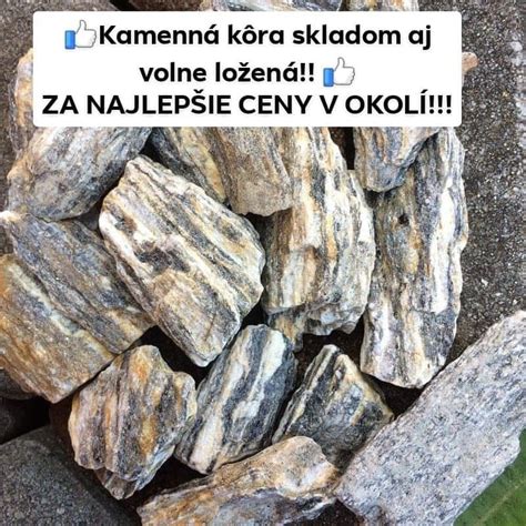 Detailná fotografia kamennej kôry vs. klasickej drevenej kôry pre vizuálne porovnanie textúry
