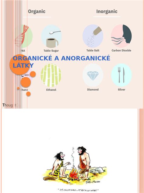 infografika zložiek substrátu (organické vs anorganické)