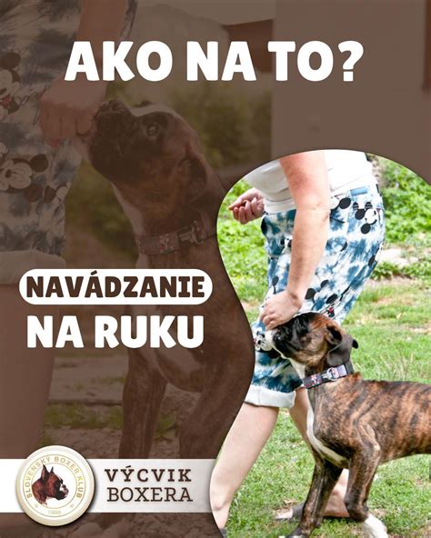 Schéma výsadby cibuliek ľalií do rôznych hĺbok v závislosti od ich veľkosti