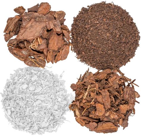 Fotografia mulčovania čučoriedok borovicovou kôrou