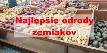 Porovnanie plodov rôznych odrôd zemolezu (veľkosť, tvar a farba).
