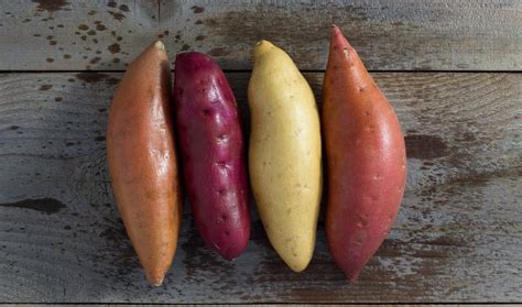 Infografika znázorňujúca vegetačné cykly odrôd zemiakov (veľmi skoré až neskoré)