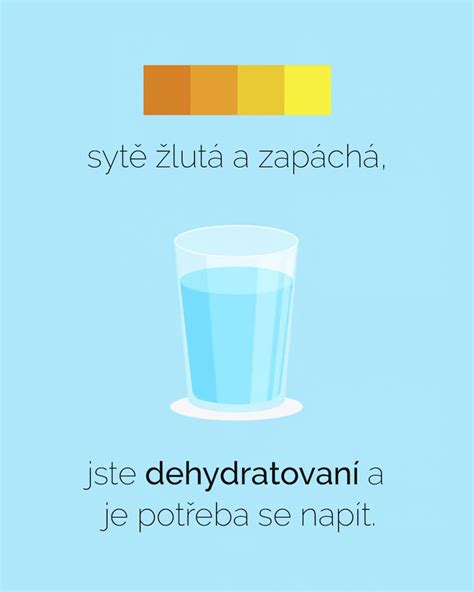 Infografika zobrazujúca ideálny režim zálievky a postreku pre pryšec