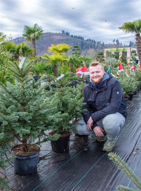Tematické foto: Osoba sadiaca mladý stromček do pripravenej jamy