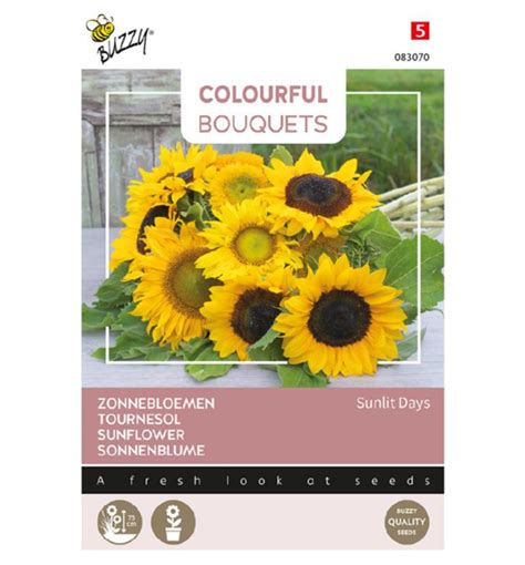 Ilustrácia rôznych druhov slnečníc