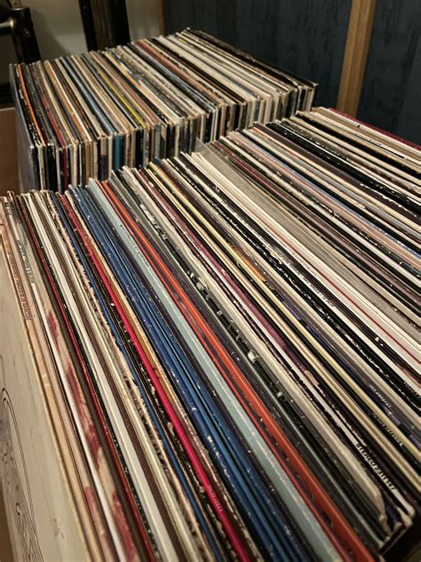 Zoznam rôznych odrôd ruží s popisom