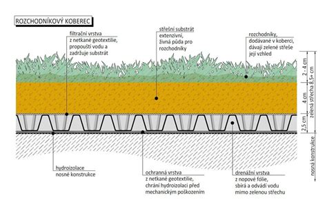 Schéma skladby extenzívnej zelenej strechy s vyznačením vrstvy substrátu.