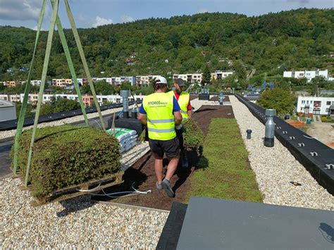 Infografika porovnávajúca vlastnosti rôznych typov strešných substrátov (extenzívne, intenzívne, ľahké).