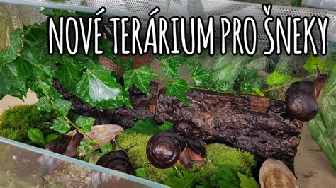 Rôznorodá miska s potravou pre slimáky vrátane zeleniny, ovocia a vápnika.