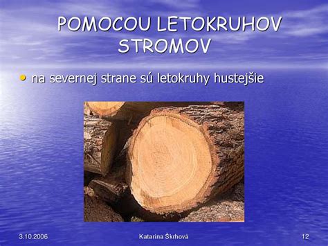 Schéma výberu stromu podľa svetových strán a nárokov na vlhkosť pôdy