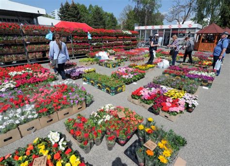 fotografia expozície z výstavy Gardenia