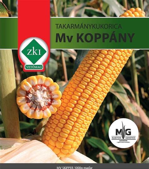 Infografika znázorňujúca optimálne pomery živín pre kukuricu