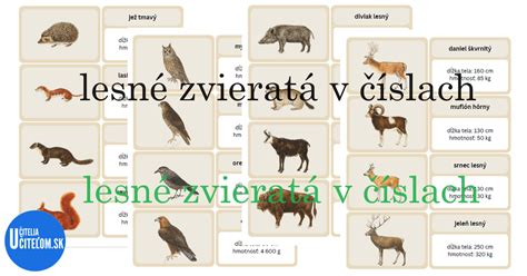 infografika znázorňujúca rozdelenie živočíšnej výroby podľa druhov zvierat v okrese