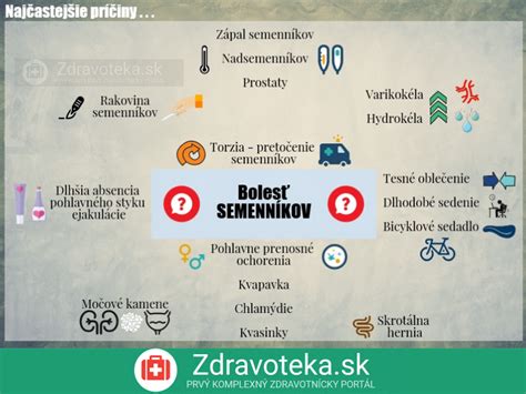 infografika znázorňujúca najčastejšie príčiny hnednutia tují (sucho, nadmerná vlhkosť, huby, škodcovia)