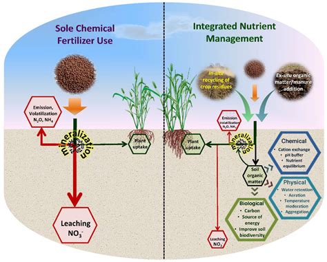 agro_schematic_soil_fertilization_sunflower_slovakia.png