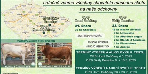 Schéma znázorňujúca proces selekcie a hodnotenia plemenných býkov