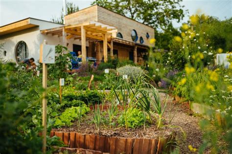 Ilustrácia znázorňujúca prepojenosť prvkov v permakultúrnej záhrade.