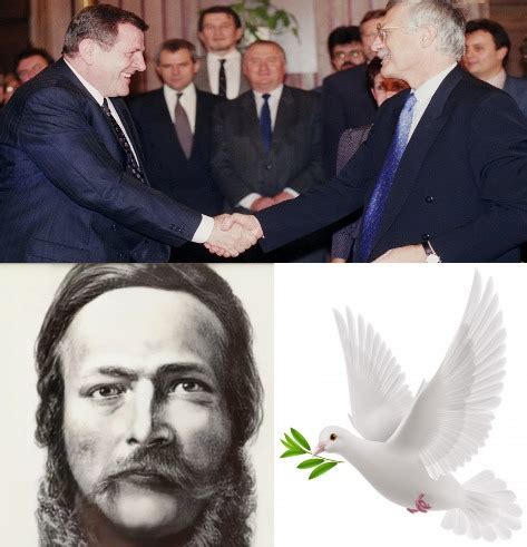 Schéma znázorňujúca rozdiel medzi minerálnymi usadeninami (tvrdý, súvislý povlak) a plesňou (pápernatý, mäkký nános na substráte)