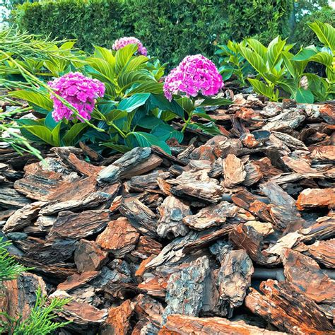 porovnanie rôznych druhov mulčovacej kôry: smreková, borovicová a píniová kôra v detailnom zábere