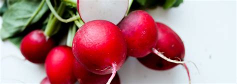 Zblízka fotografia klíčkov reďkovky s bielymi korienkami