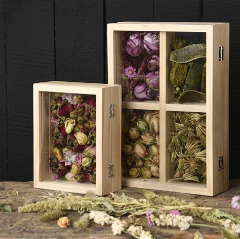 Ilustrácia rôznych nádob na skladovanie sušených bylín