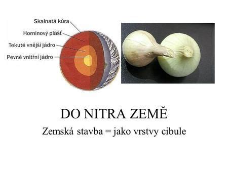 Detailná schéma hĺbky výsadby cibule a drenážnej vrstvy