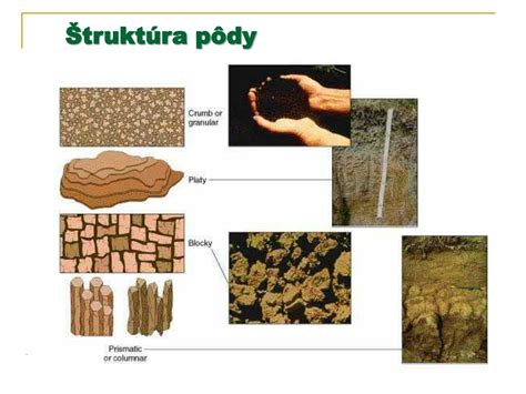Štruktúra pôdy zlepšená univerzálnym substrátom: vzdušnosť, zadržiavanie vlahy, aktivácia pôdnych organizmov.